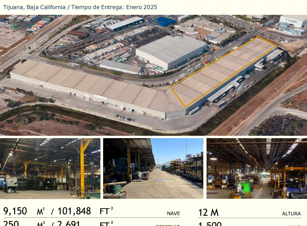 ALAN 1 CATTAN BOEGA RENTA TIJUANA